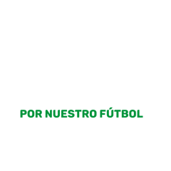 Federación Mexicana de Fútbol